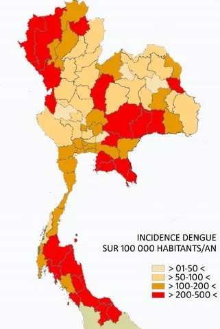 La dengue en Thaïlande incidence par habitant