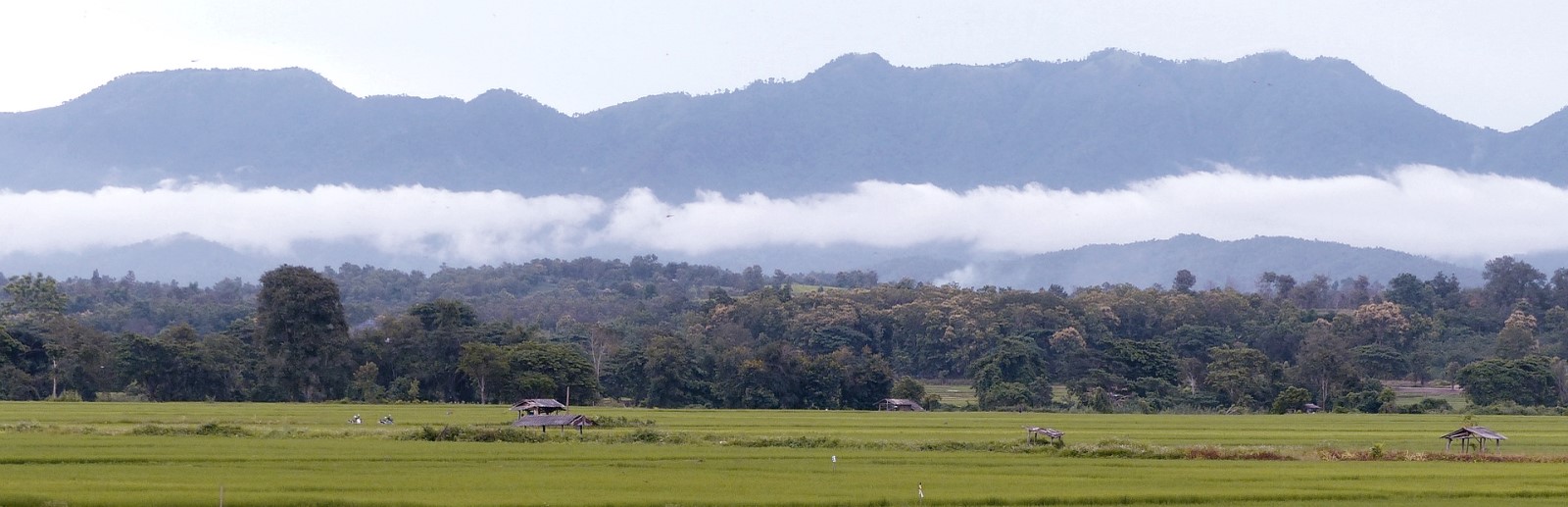 CHIANG MAI TRANSPORTS.jpg