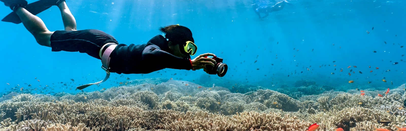 FAIRE DU SNORKELING A PHUKET.jpg