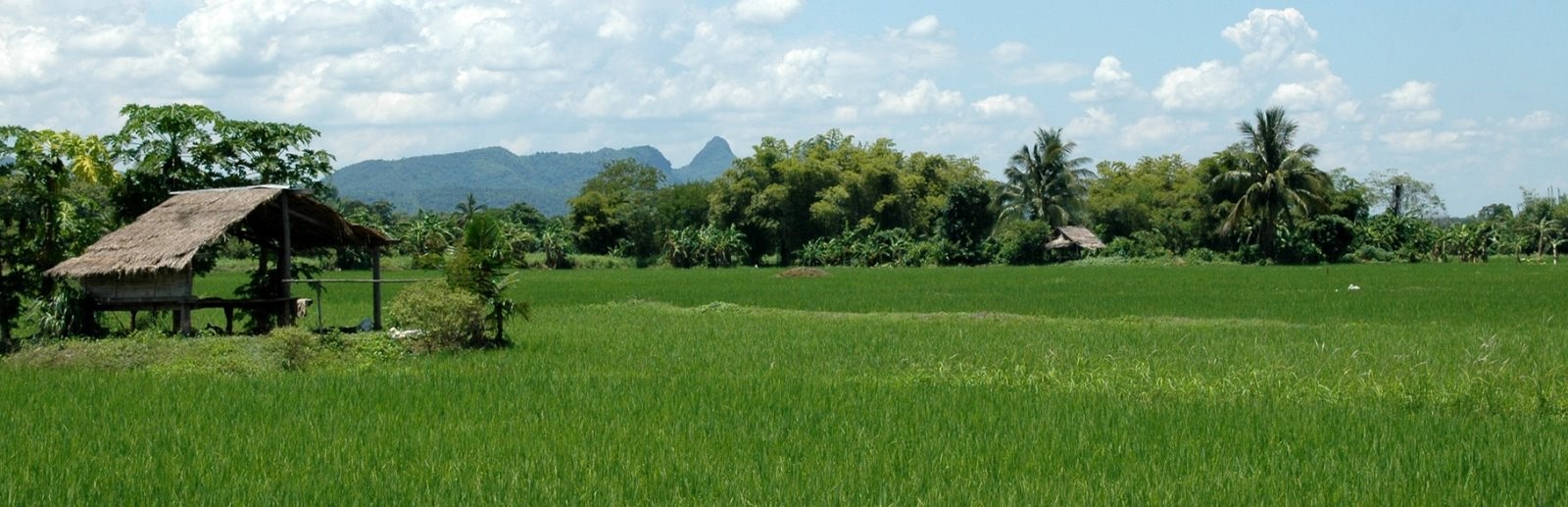 La géographie de la thaïlande.jpg