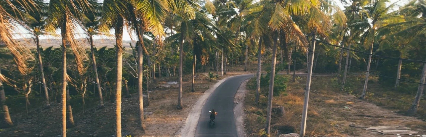 louer-un-scooter-une-voiture-a-phuket.jpg