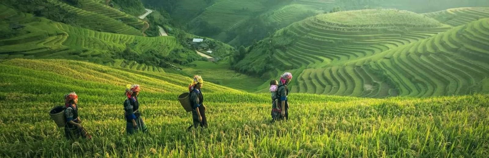 Transports et voyage au Laos.jpg