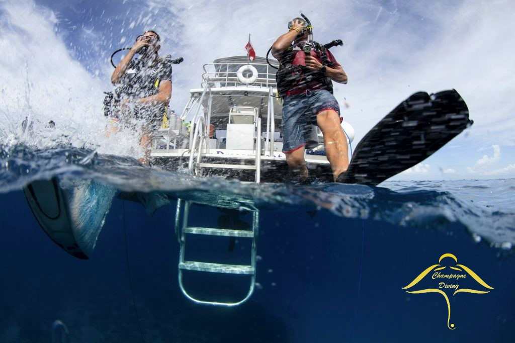 champagne diving phuket