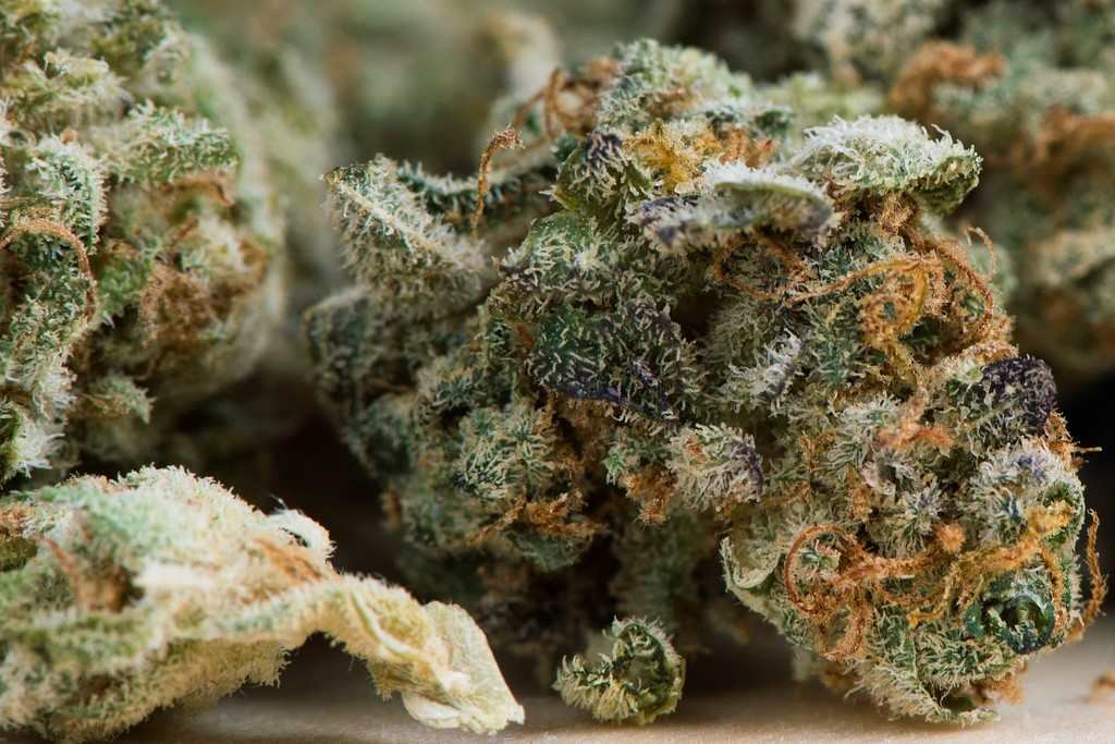 FUMER DU CANNABIS EN THAILANDE HERBE SATIVA THAILANDAISE