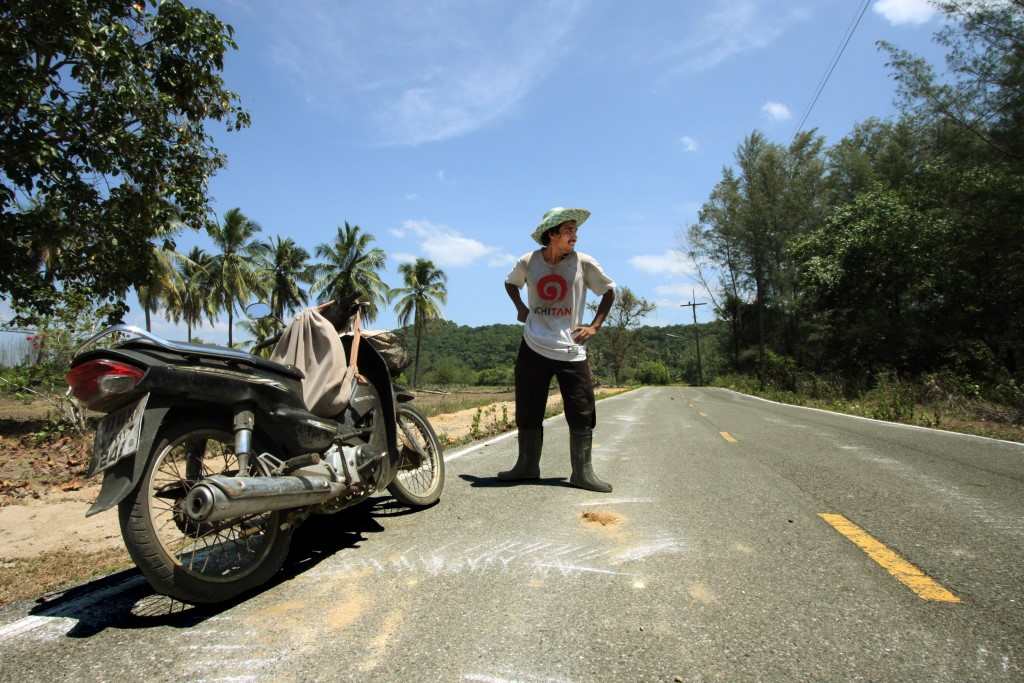 KOH KHO KHAO CHASSEUR DE FOURMIS