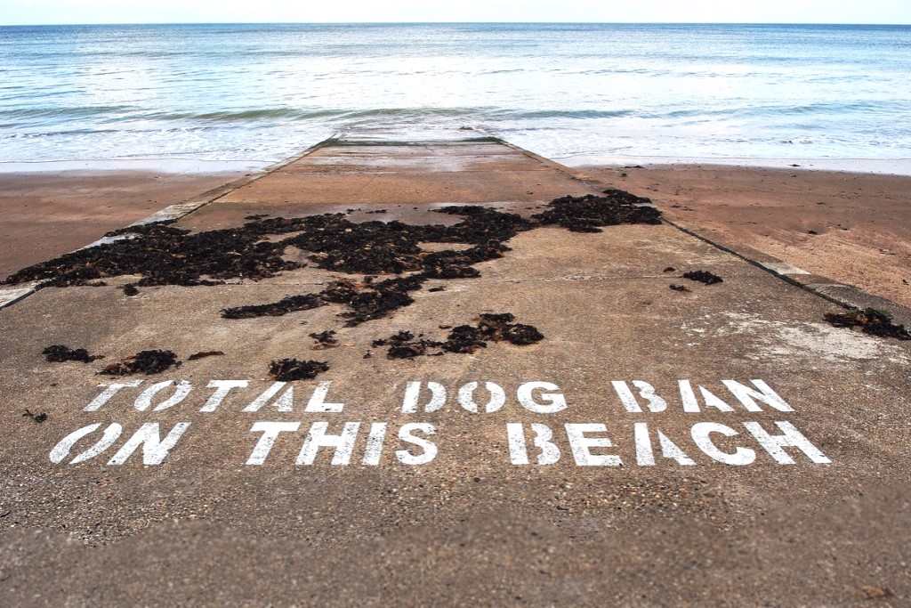 NO DOGS ON THE BEACH
