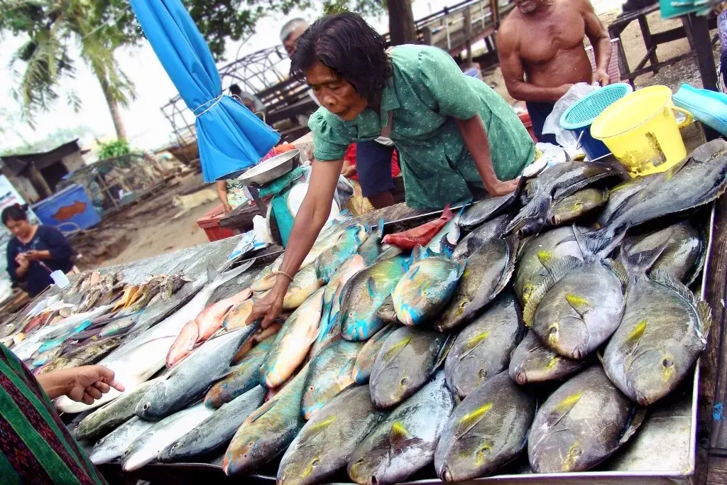 NOMADE DE LA MER A PHUKET