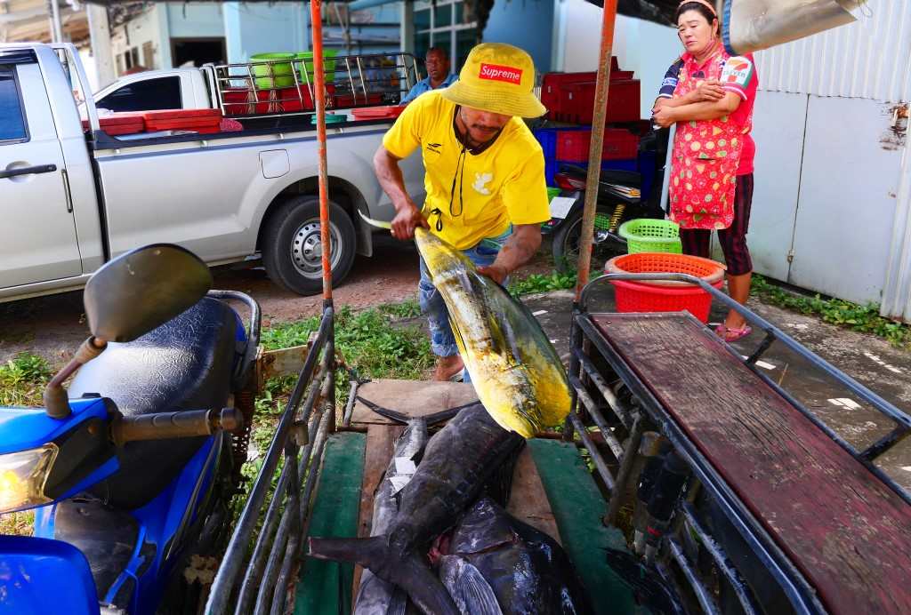 POISSONNIER A BAAN NAM KHEM