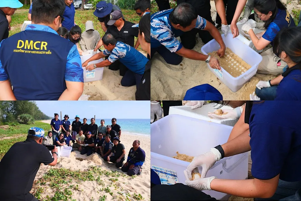 PROTECTION DE L ENVIRONNEMENT PHUKET