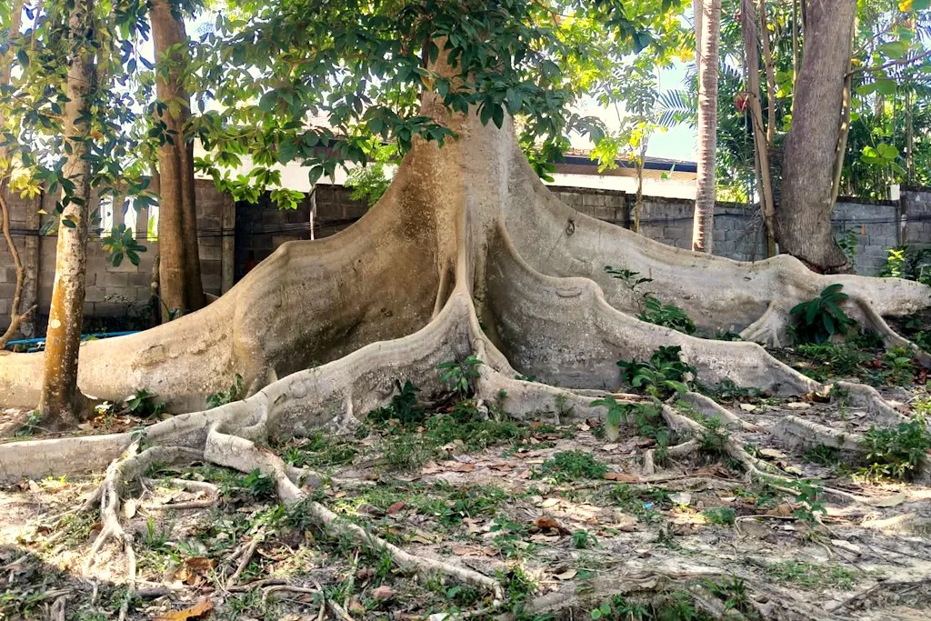 QUE FAIRE A KOH RACHA