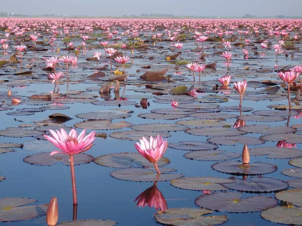 UDON THANI LAC NONG HARN