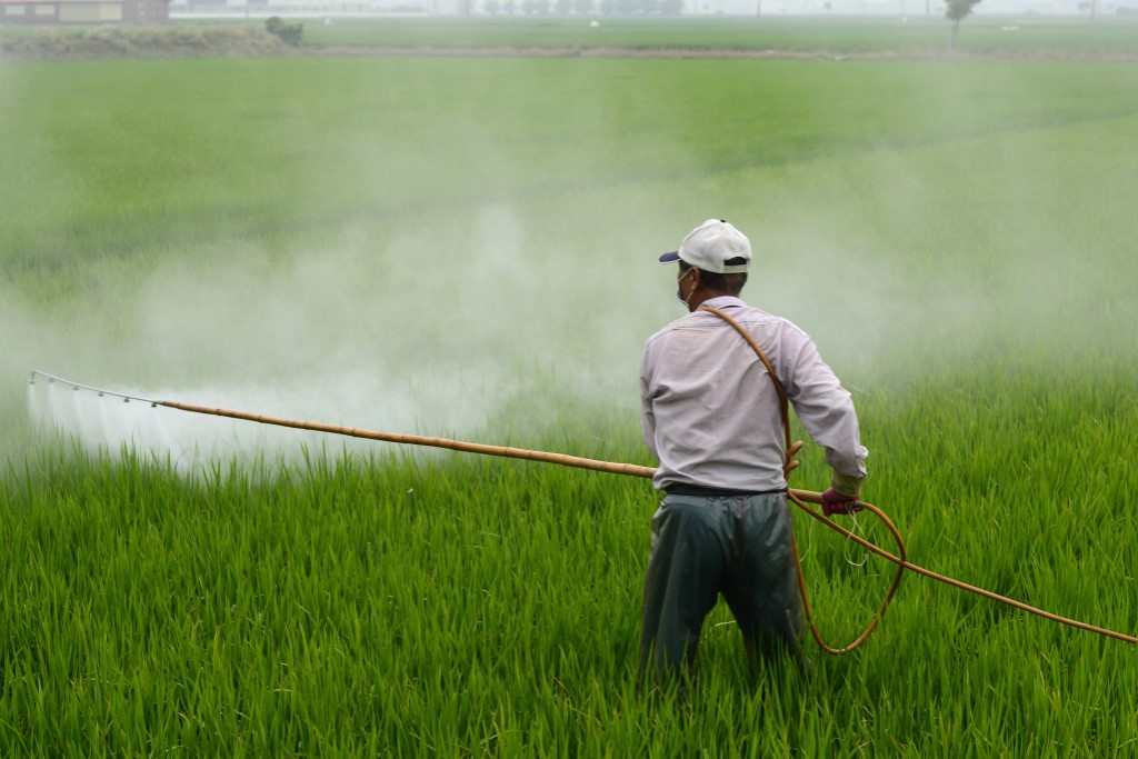 UTILISATION DES PESTICIDES EN THAILANDE