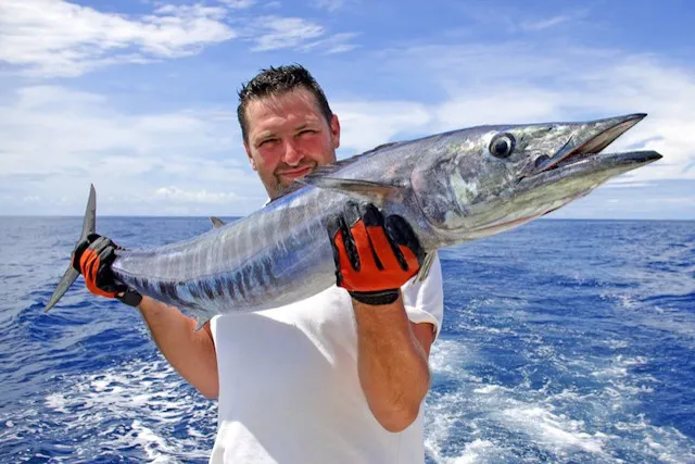 COMMENT PECHER AU GROS A PHUKET
