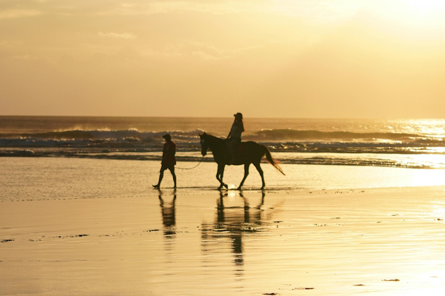 FAIRE DU CHEVAL A PHUKET
