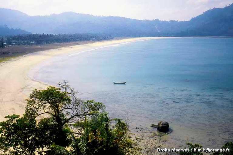 PATONG 83