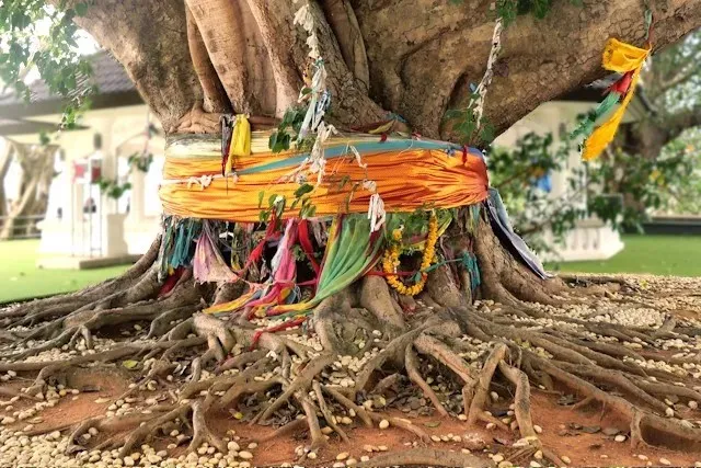 thailande coutumes traditions