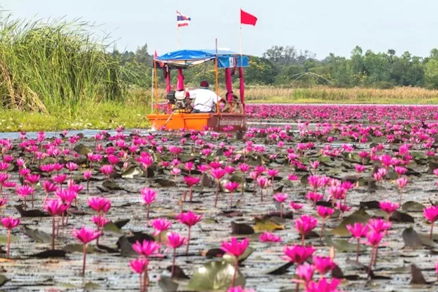 Udon Thani en Thaïlande