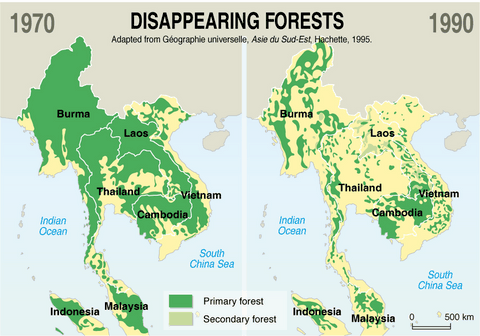 La déforestation en Thaïlande