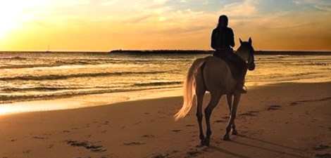 faire du cheval à Phuket