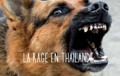 LA RAGE EN THAILANDE