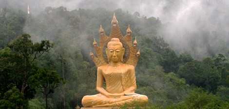 Excursions-Visites guidées à Phuket