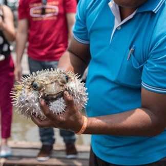 Pêche à Phuket en Thaïlande