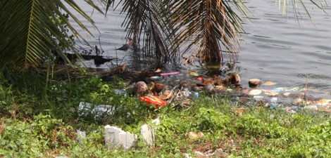 protection de l'environnement en Thailande