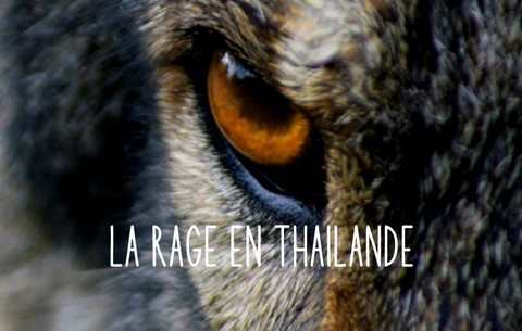 RAGE EN THAILANDE