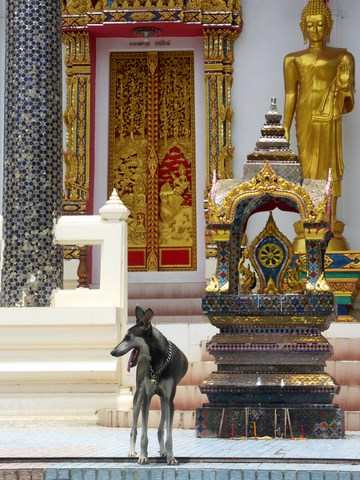 Wat bang Riang prèse de Phuket en thaïlande