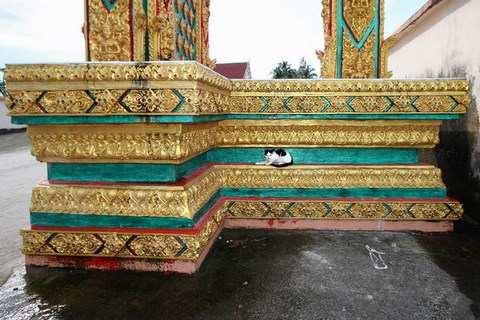 takua pa temple